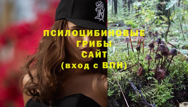 экстази Алзамай