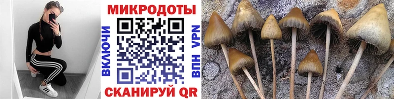 Псилоцибиновые грибы GOLDEN TEACHER  Алупка 